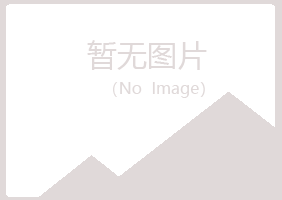 新城区残缺会计有限公司